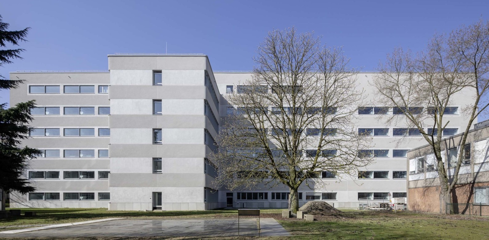 Organische und Biochemie Institute Münster