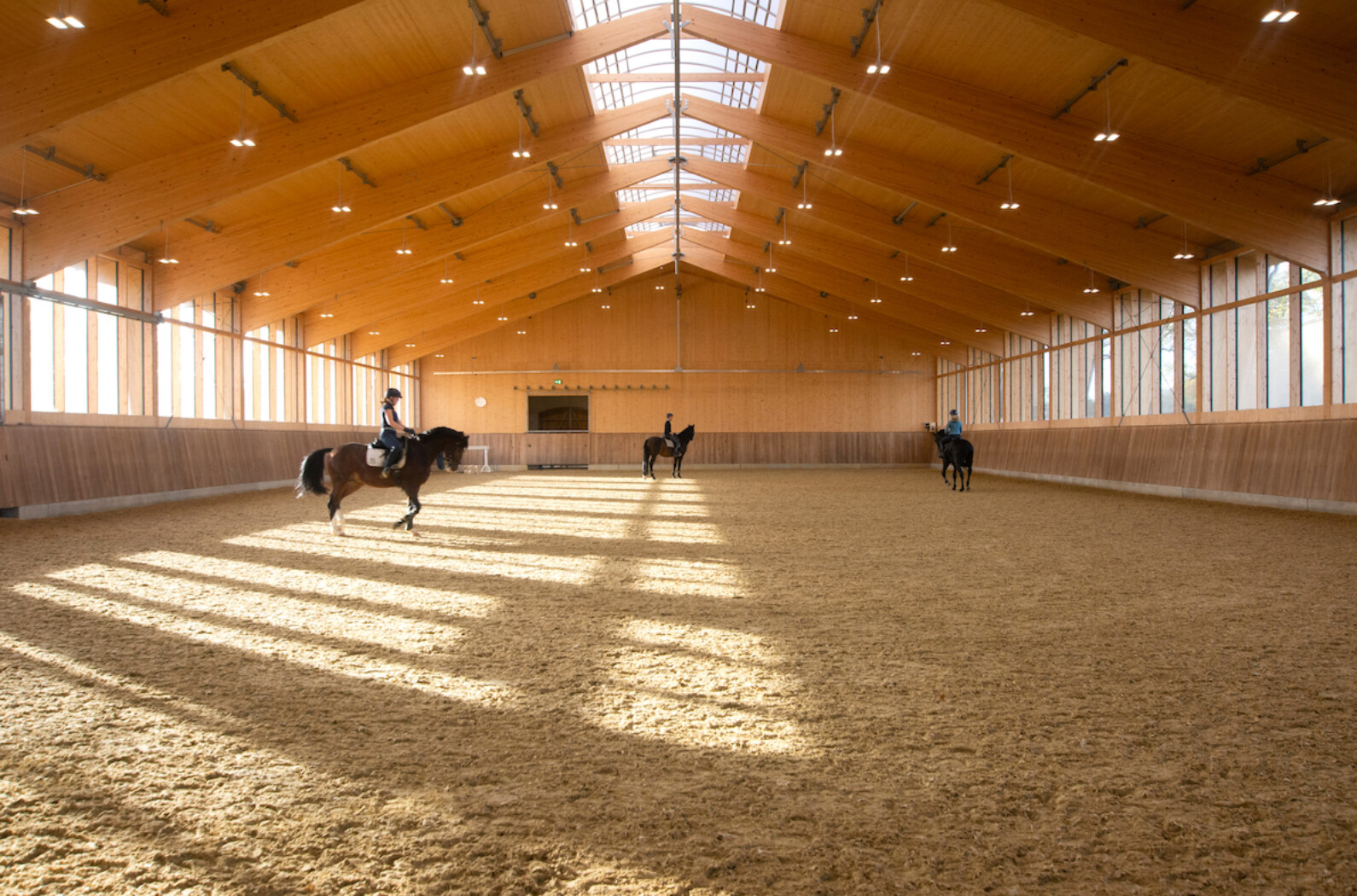 Reithalle Landgestüt Warendorf